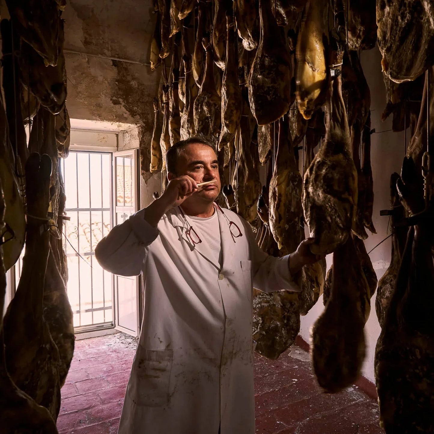 Jamón ibérico de 7 kg - Liquidación por el Mundial